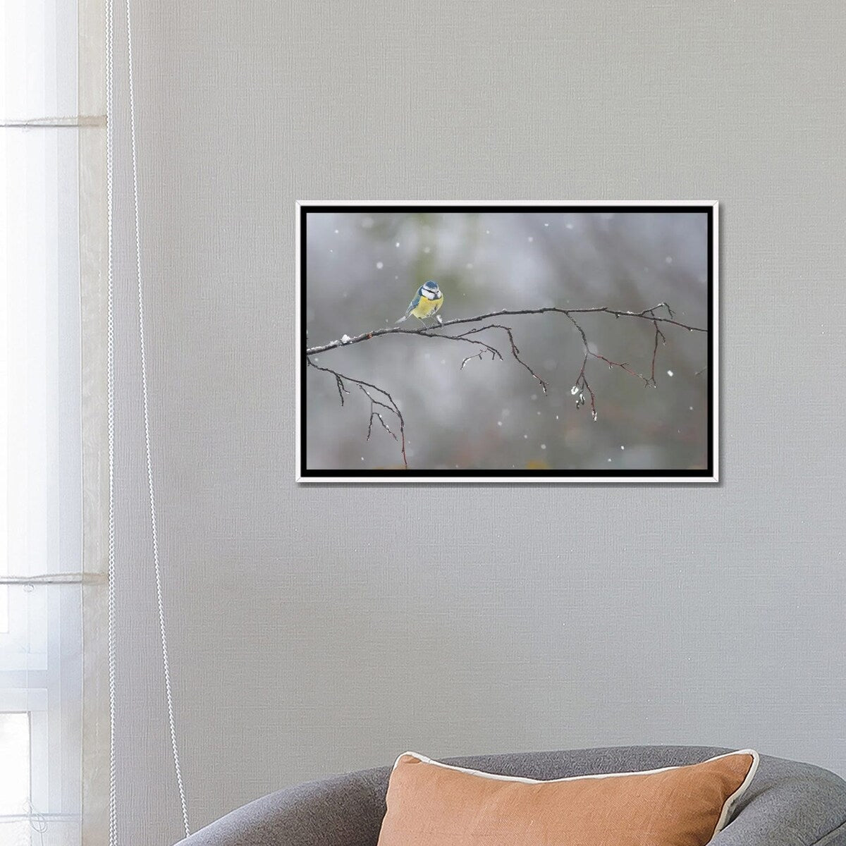 iCanvas "Blue Tit In Winter" by Mateusz Piesiak Framed
