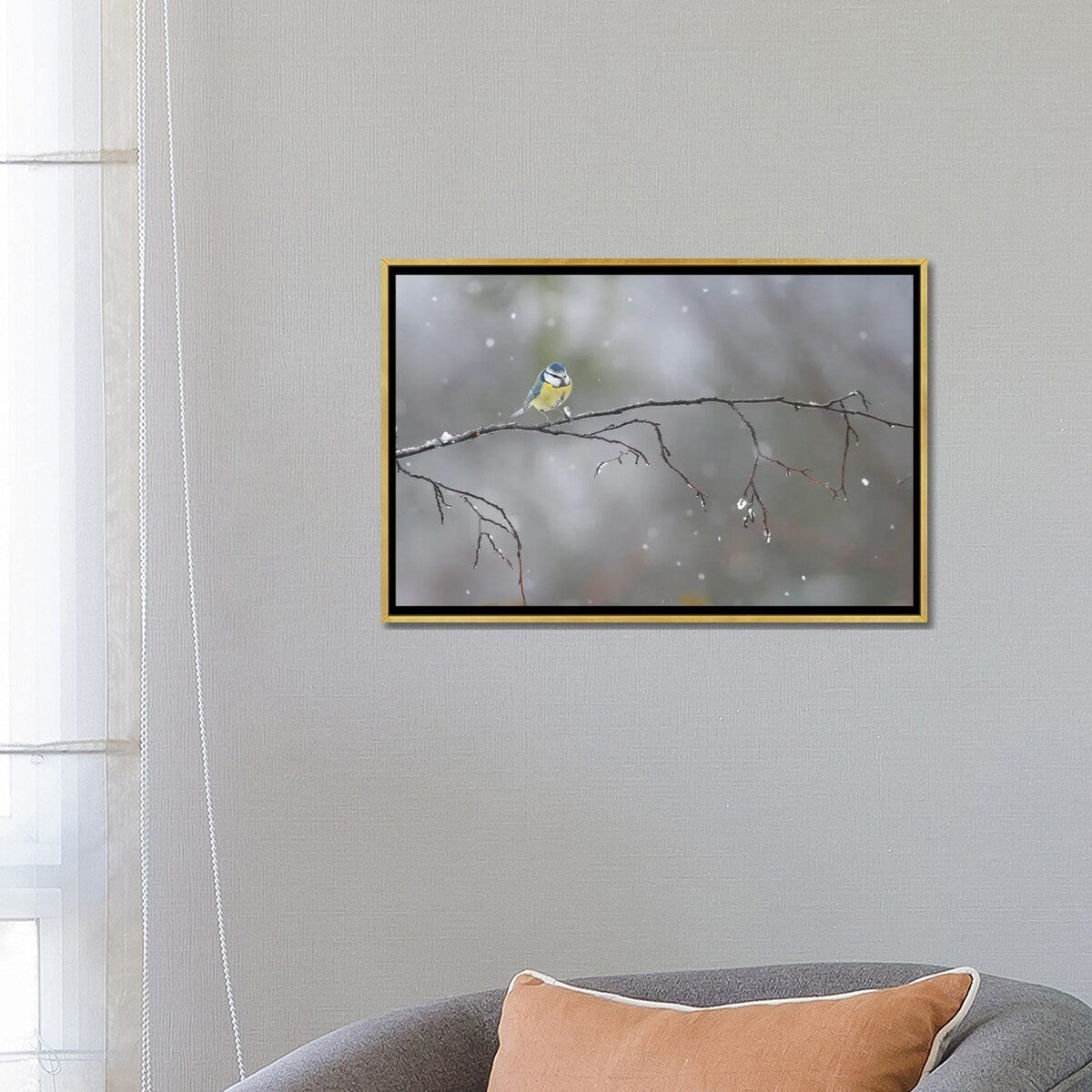 iCanvas "Blue Tit In Winter" by Mateusz Piesiak Framed