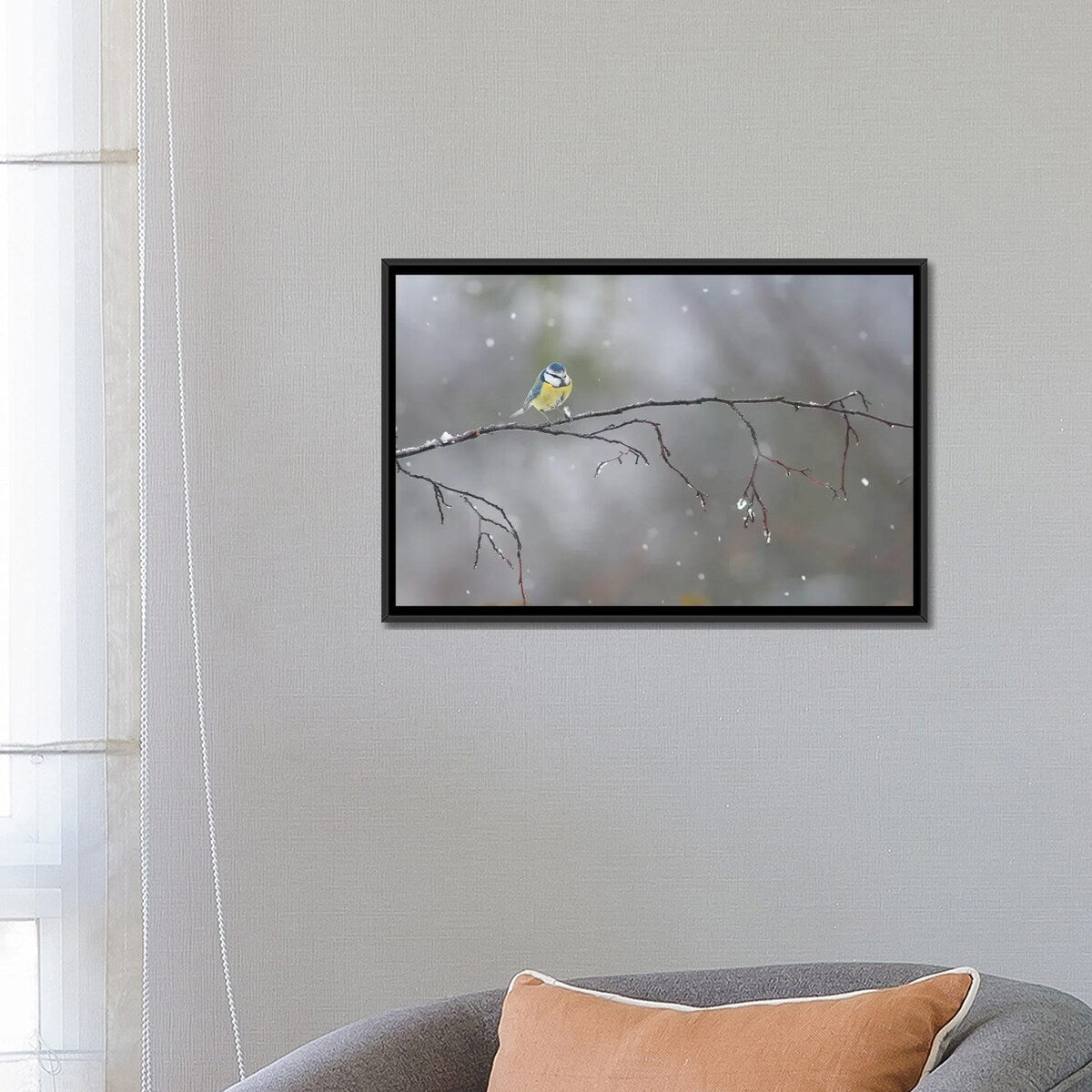 iCanvas "Blue Tit In Winter" by Mateusz Piesiak Framed