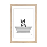 iCanvas "Border Collie Dog In Bathtub" by Printable Lisa's Pets
