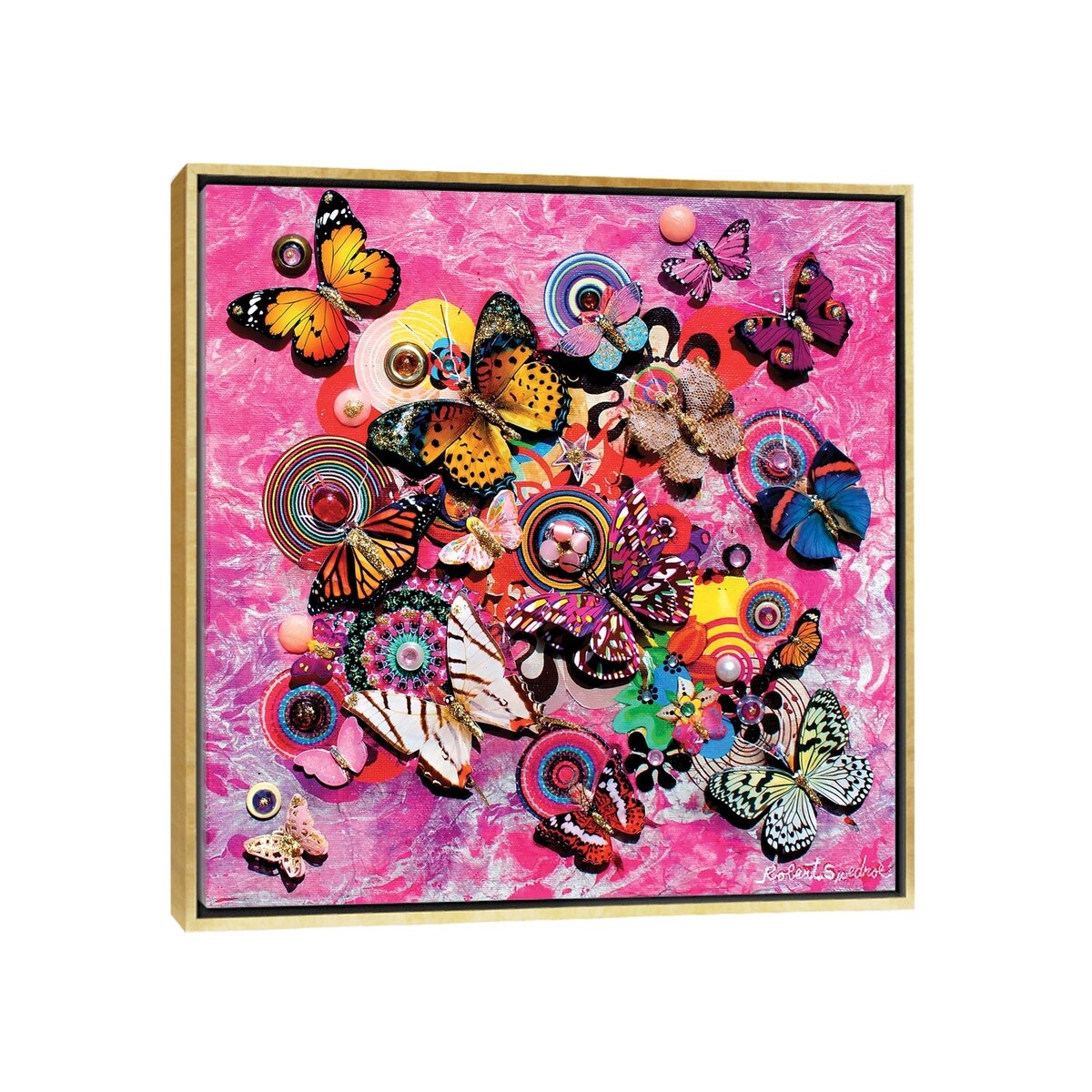 iCanvas "Butterfly Magic" by Robert Swedroe Framed Canvas Print