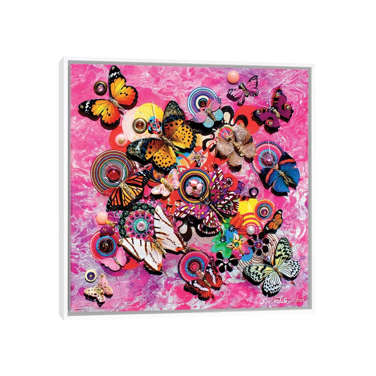 iCanvas "Butterfly Magic" by Robert Swedroe Framed Canvas Print