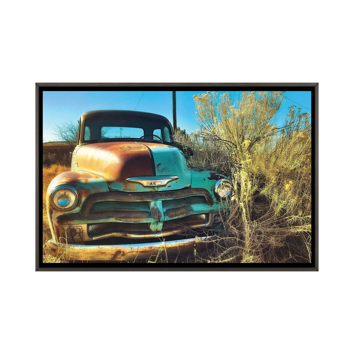 iCanvas "Enough Of Cold" by Brian Fuller Framed
