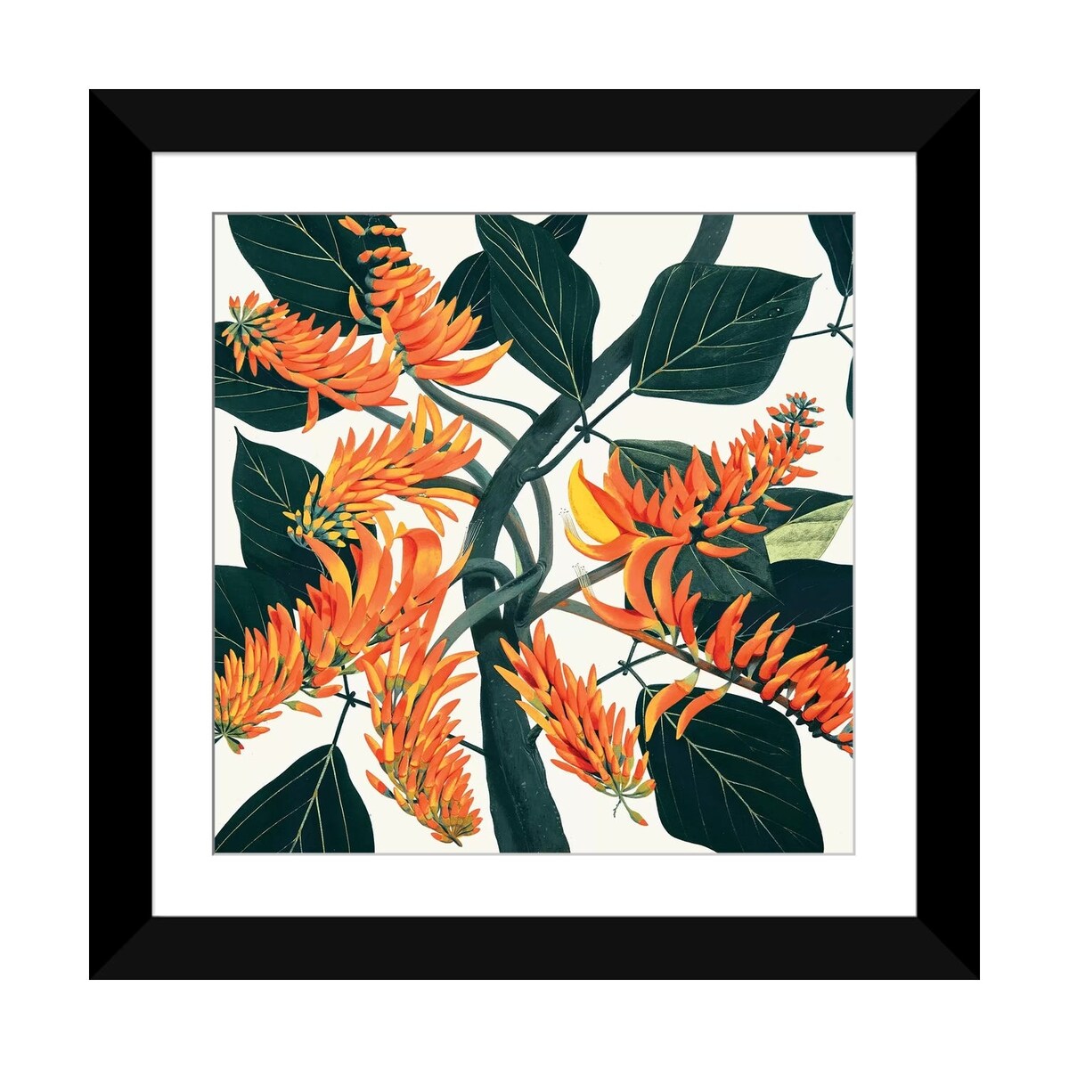 iCanvas "Erythrina Poeppigiana Mountain Immortelle" by New York Botanical Garden Portfolio