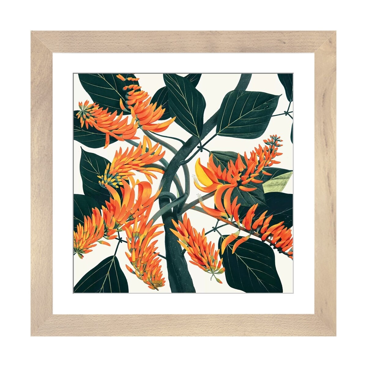 iCanvas "Erythrina Poeppigiana Mountain Immortelle" by New York Botanical Garden Portfolio