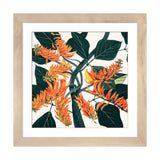 iCanvas "Erythrina Poeppigiana Mountain Immortelle" by New York Botanical Garden Portfolio