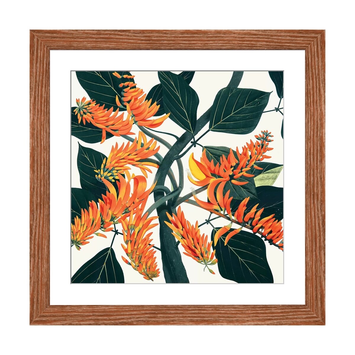 iCanvas "Erythrina Poeppigiana Mountain Immortelle" by New York Botanical Garden Portfolio