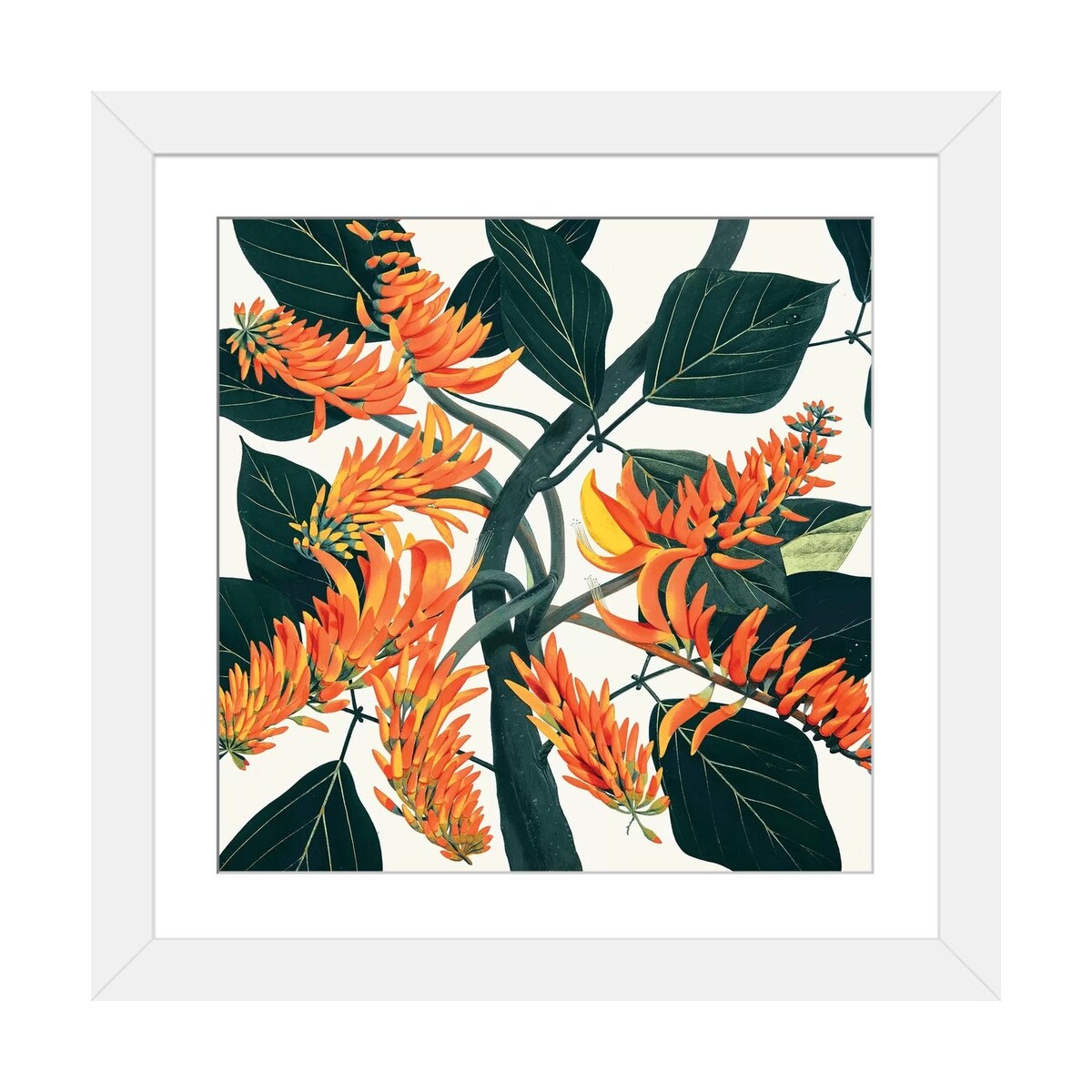 iCanvas "Erythrina Poeppigiana Mountain Immortelle" by New York Botanical Garden Portfolio