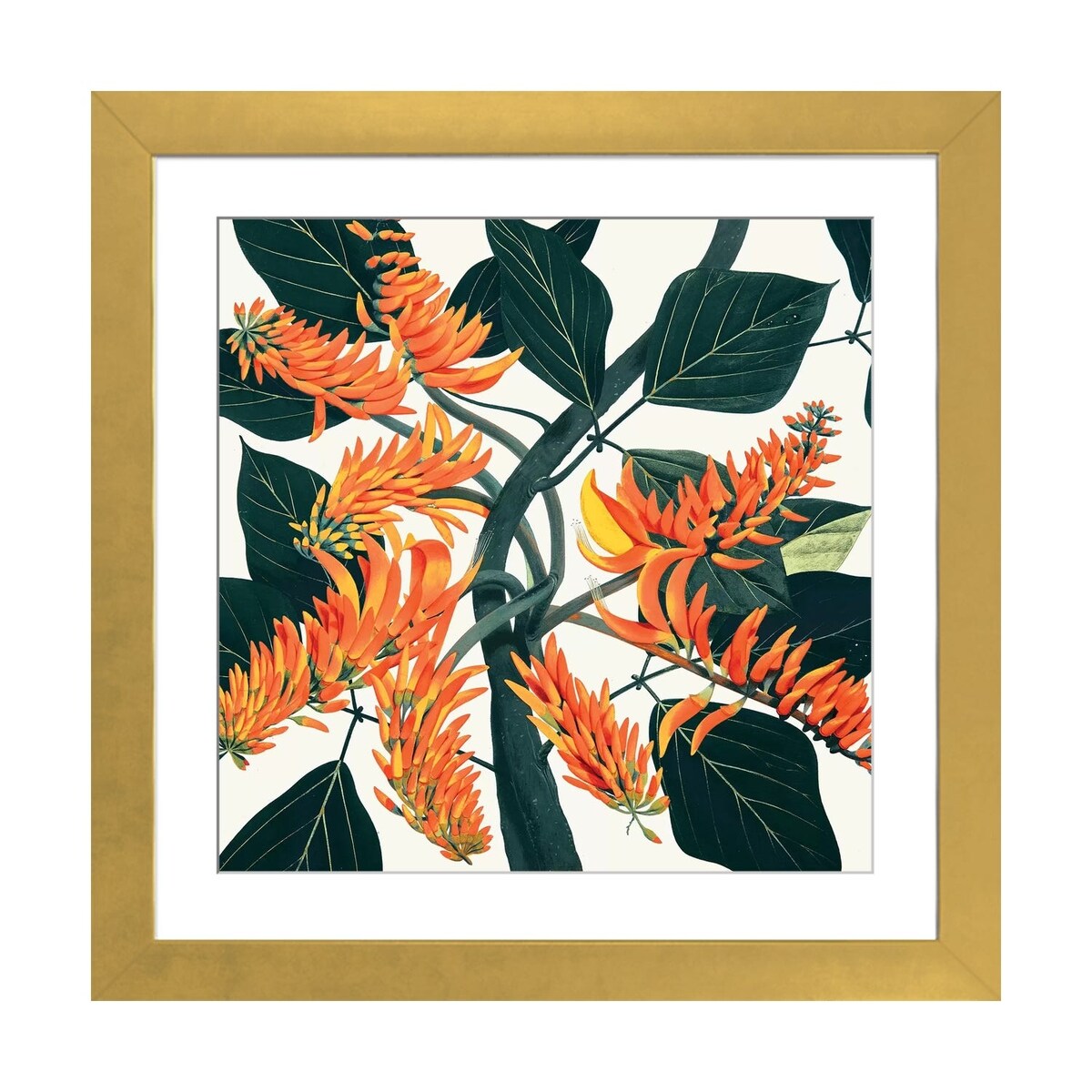 iCanvas "Erythrina Poeppigiana Mountain Immortelle" by New York Botanical Garden Portfolio
