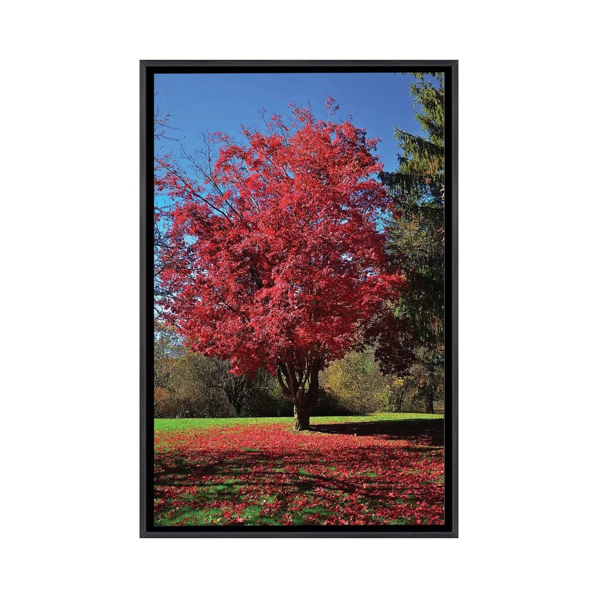 iCanvas "Fall 2018 Red Tree Mosaic" by Robert Gendler Framed