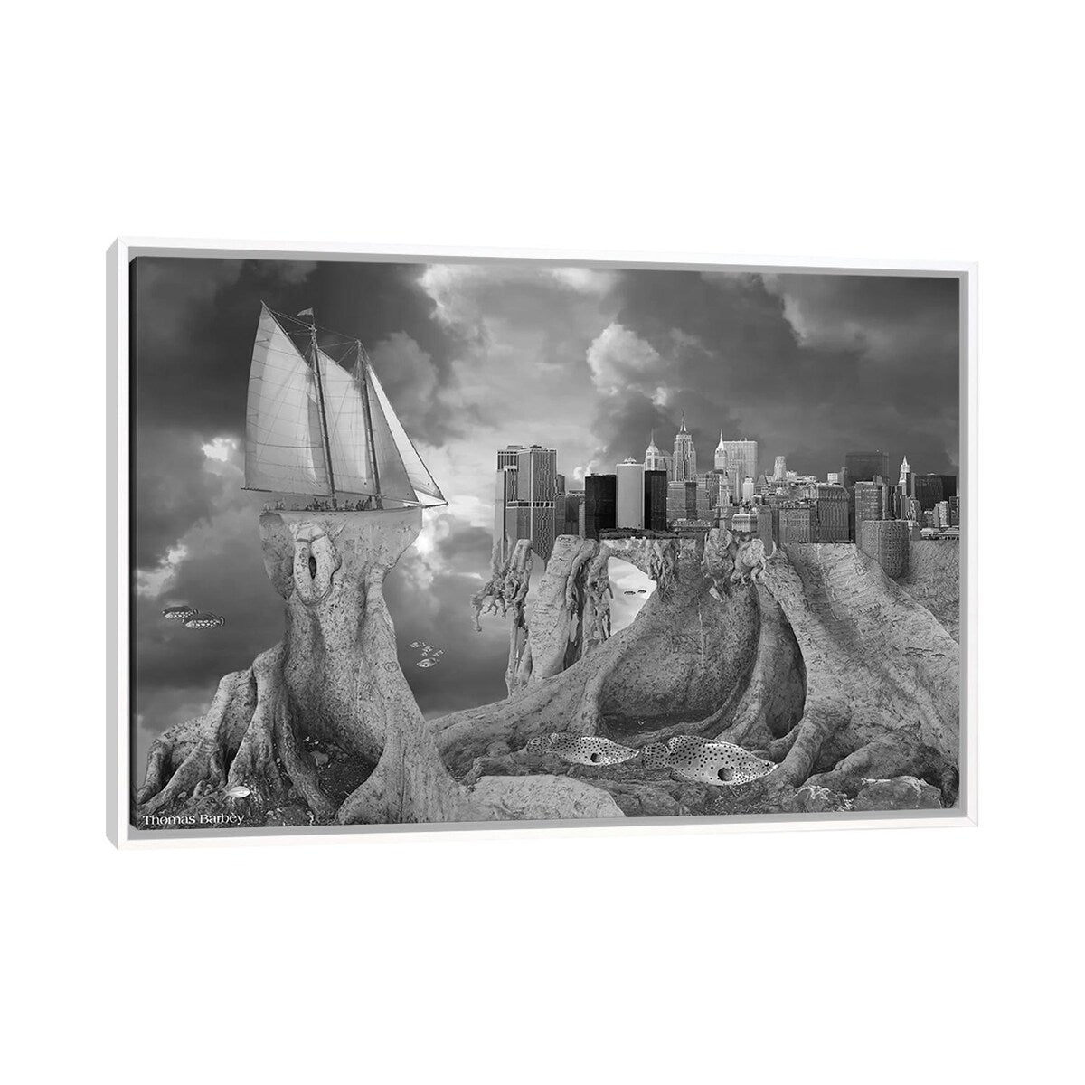 iCanvas "Fish out of Water" by Thomas Barbey Framed Canvas Print