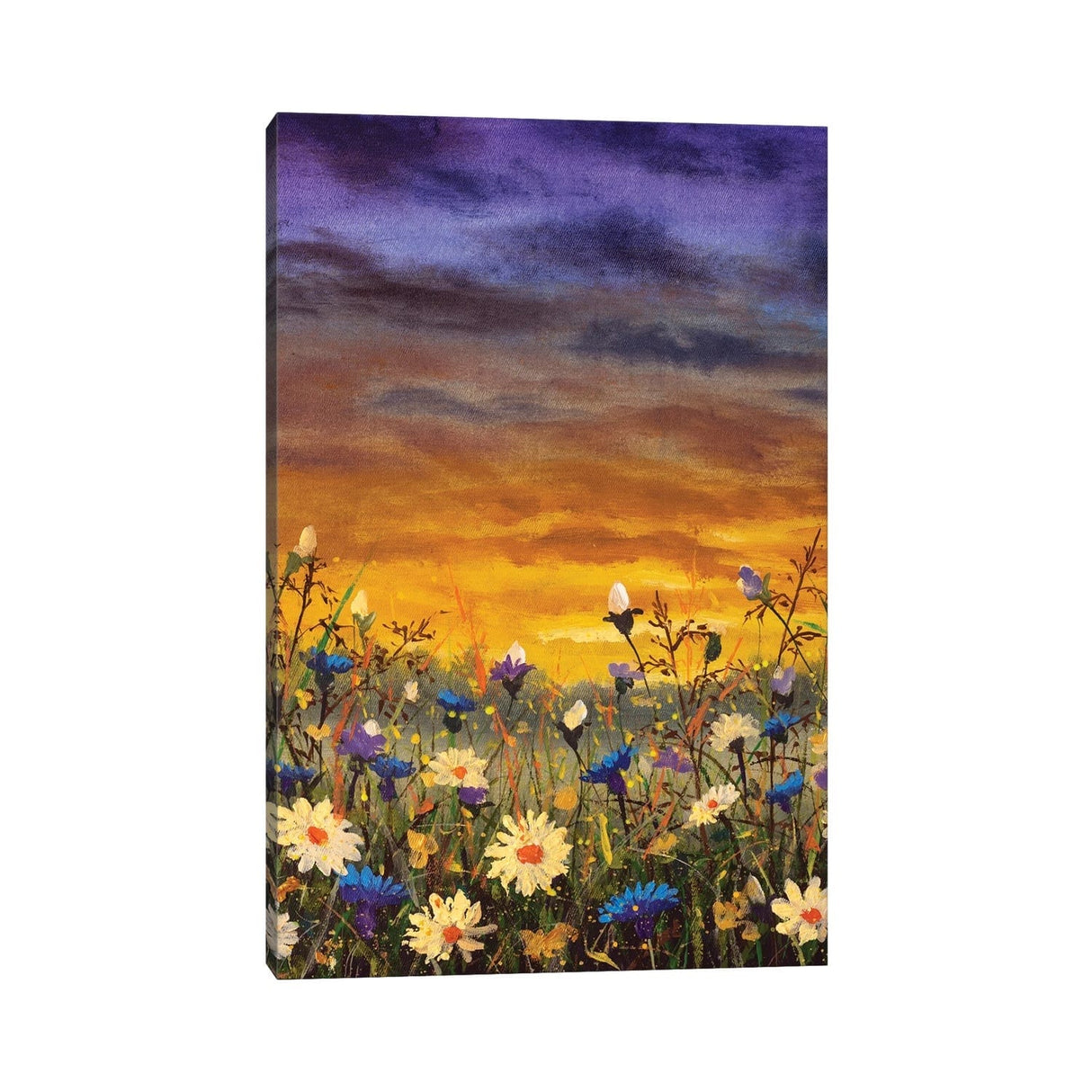 iCanvas "Flowers Field White Daisies Flowers Blue Cornflowers Oil Painting" by Valery Rybakow Canvas Print
