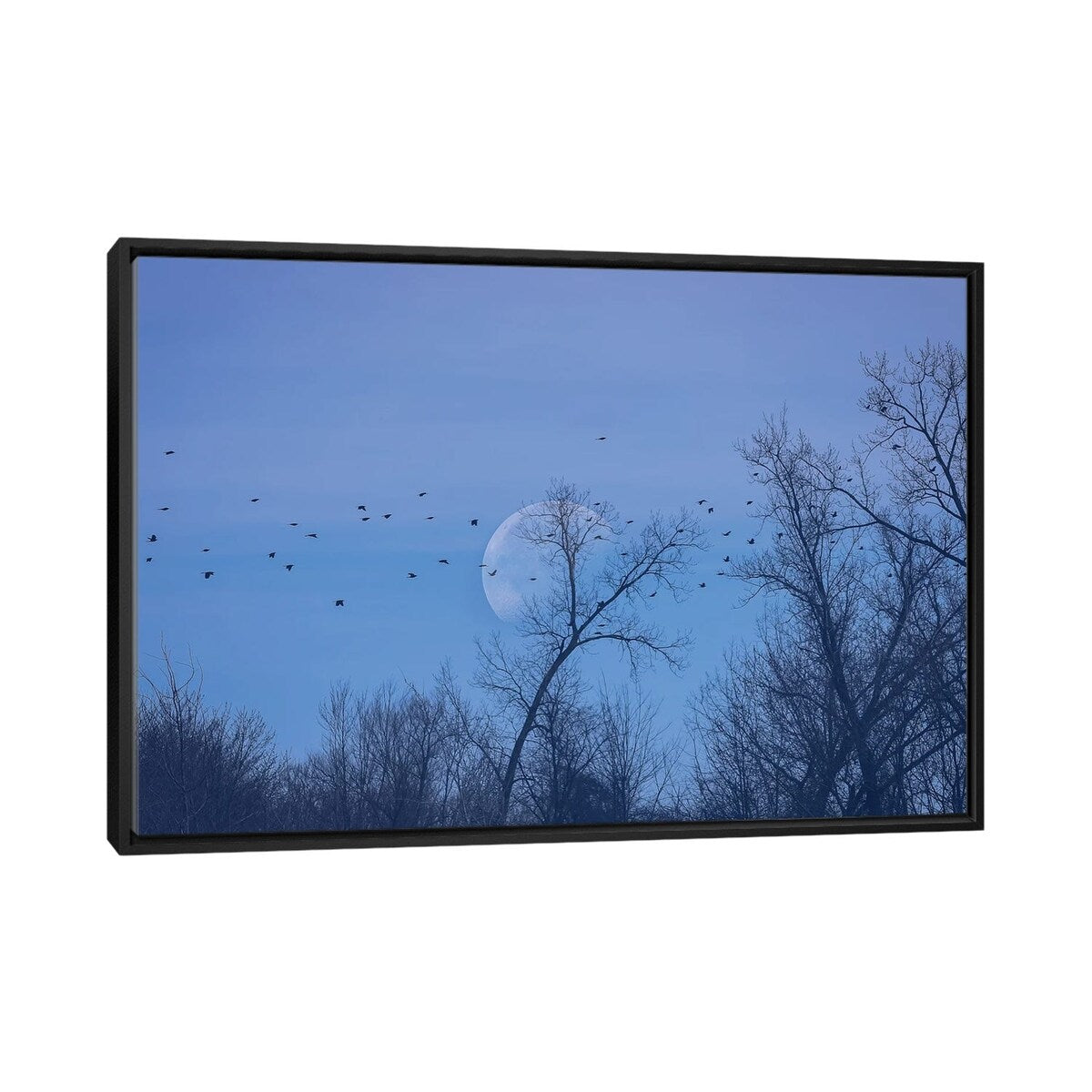 iCanvas "Fly Me To The Moon" by Maria Overlay Framed Canvas Print