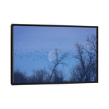 iCanvas "Fly Me To The Moon" by Maria Overlay Framed Canvas Print