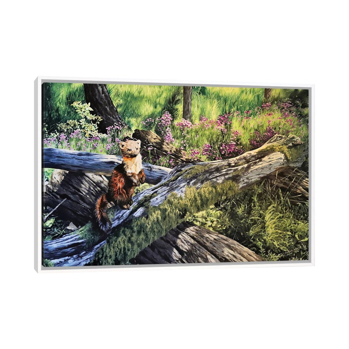 iCanvas "Forest Light" by Julian Wheat Framed
