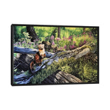 iCanvas "Forest Light" by Julian Wheat Framed