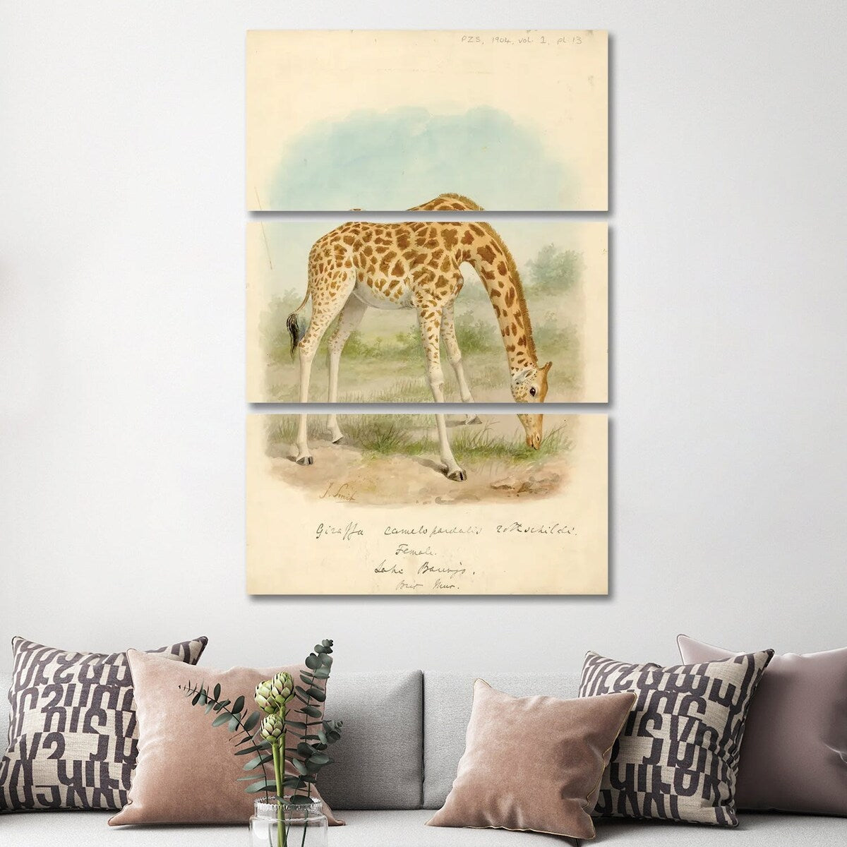 iCanvas "Giraffe I" by Natural History Museum (UK) 3-Piece Canvas Wall Art Set