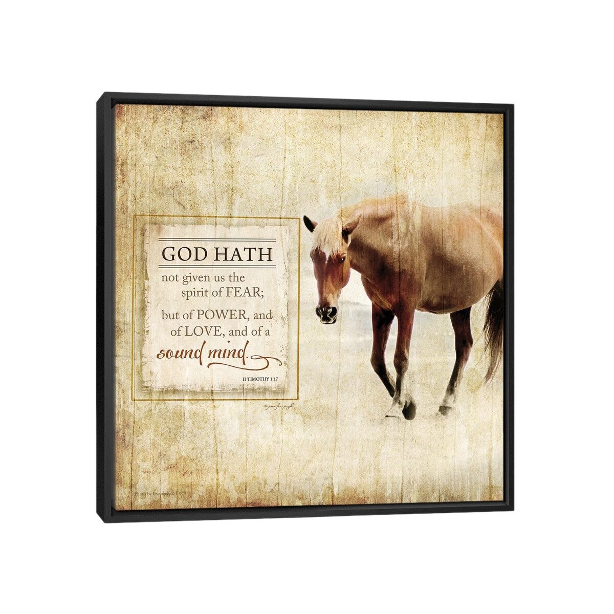 iCanvas "God Hath Not Given" by Jennifer Pugh Framed