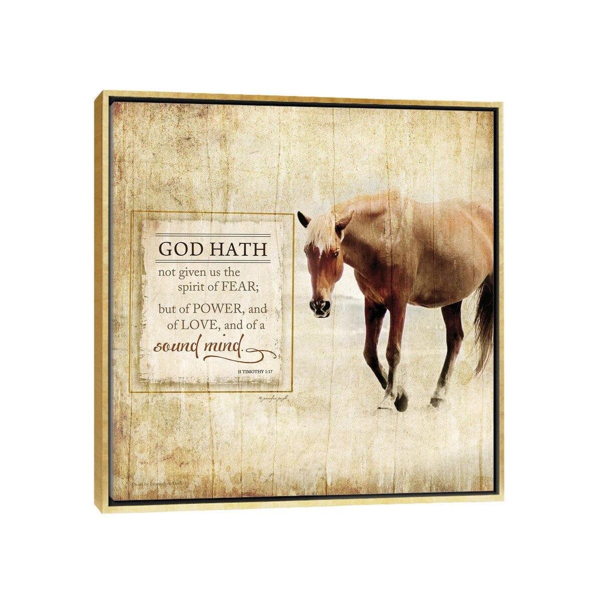iCanvas "God Hath Not Given" by Jennifer Pugh Framed