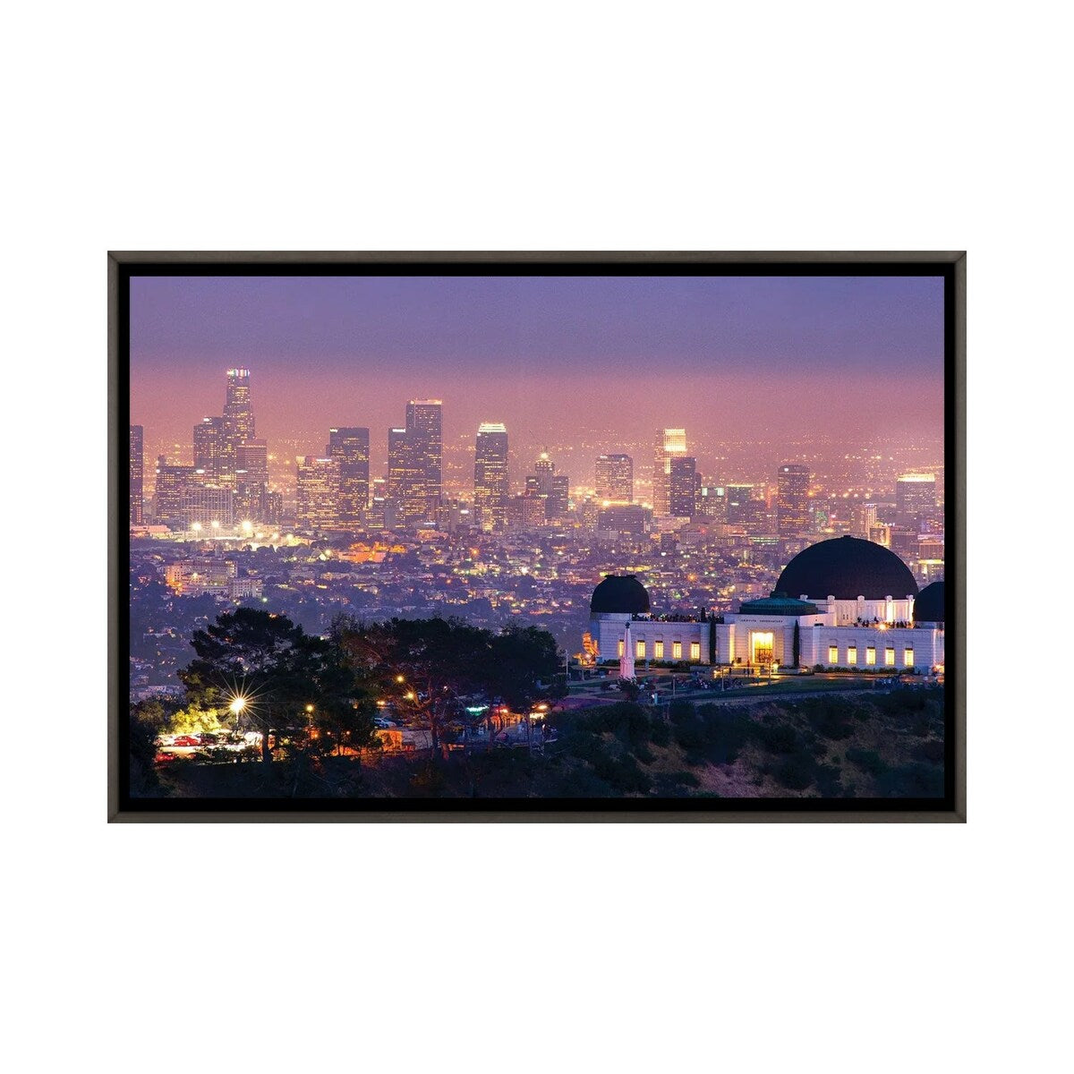iCanvas "Griffith Park Observatory In Los Angeles" by Zoe Schumacher Framed