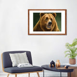 iCanvas "Grizzly" by Patrick LaMontagne