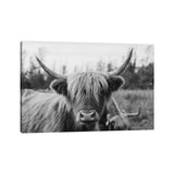 iCanvas "Highland Cow Black and White" by Chelsea Victoria Canvas Print