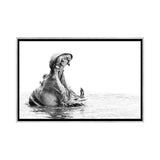 iCanvas "Hippo Yawn B/W" by Kyle Lewin Framed
