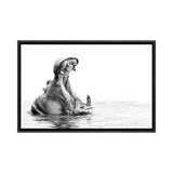 iCanvas "Hippo Yawn B/W" by Kyle Lewin Framed