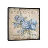 iCanvas "Hydrangeas Bouquets (50 Cents)" by Debi Coules Framed Canvas Print