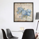 iCanvas "Hydrangeas Bouquets (50 Cents)" by Debi Coules Framed Canvas Print
