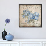 iCanvas "Hydrangeas Bouquets (50 Cents)" by Debi Coules Framed Canvas Print