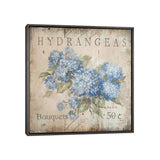 iCanvas "Hydrangeas Bouquets (50 Cents)" by Debi Coules Framed Canvas Print