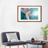 iCanvas "In Turquoise Company" by Heidi Westum