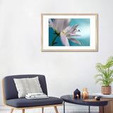 iCanvas "In Turquoise Company" by Heidi Westum
