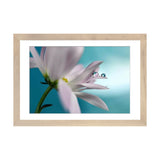 iCanvas "In Turquoise Company" by Heidi Westum