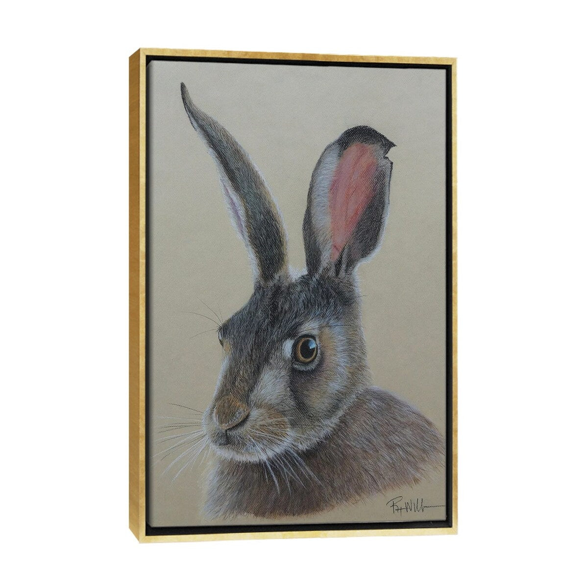 iCanvas "Jack The Ra3bit." by Reian Williams Framed Canvas Print