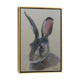 iCanvas "Jack The Ra3bit." by Reian Williams Framed Canvas Print
