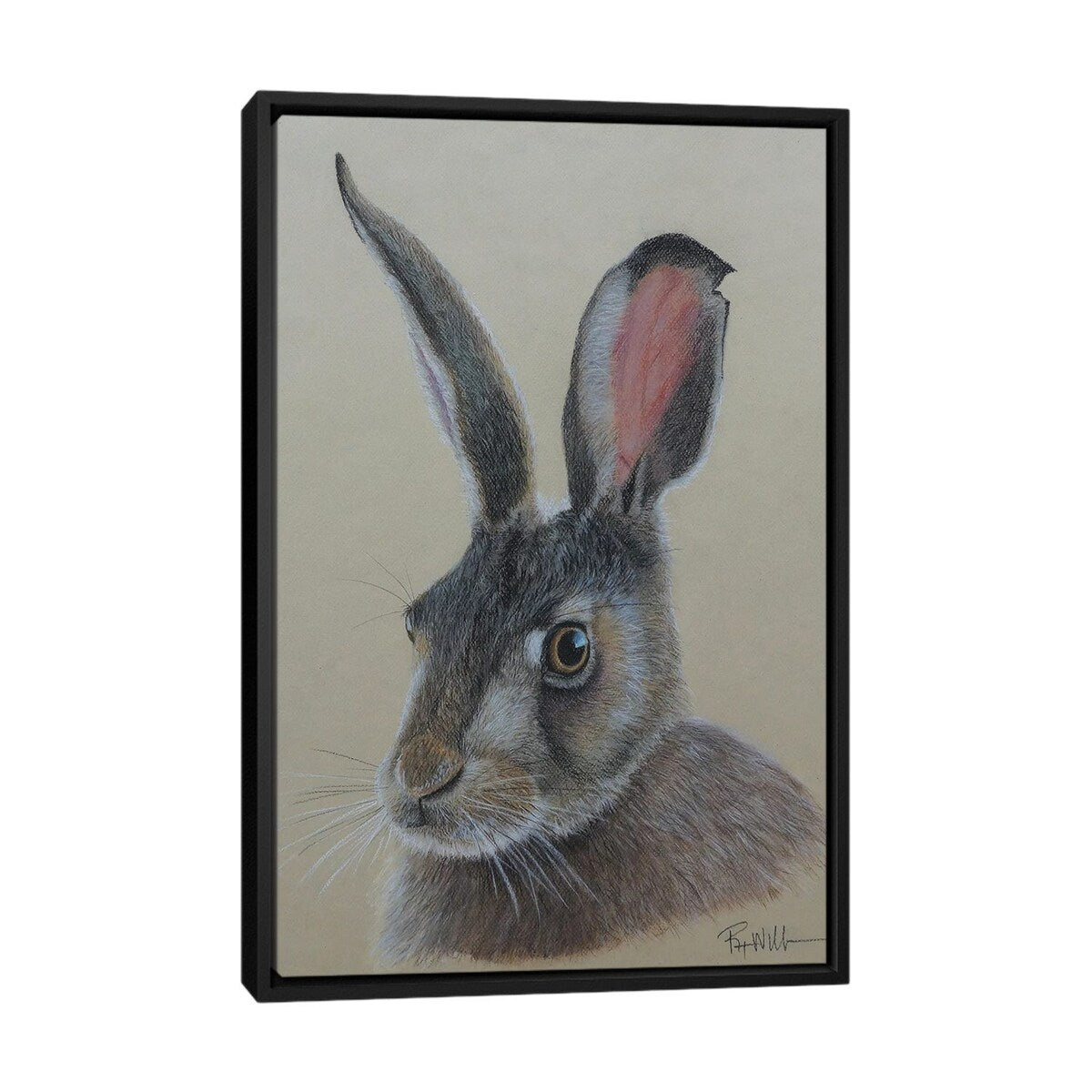 iCanvas "Jack The Ra3bit." by Reian Williams Framed Canvas Print