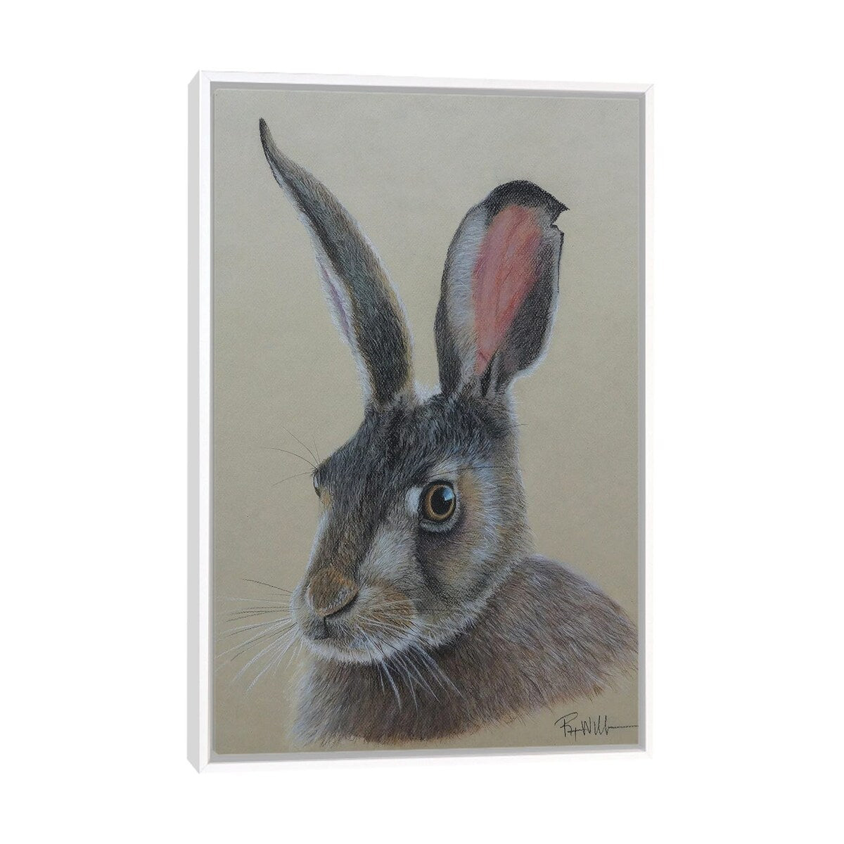 iCanvas "Jack The Ra3bit." by Reian Williams Framed Canvas Print