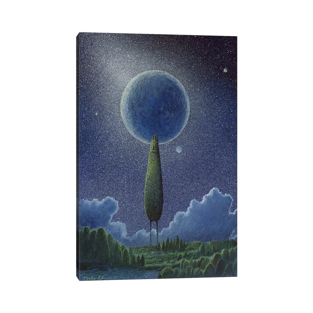 iCanvas "King Of Greens" by Toshio Ebine Canvas Print