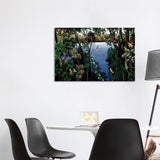 iCanvas "Kookaburra At The Lake" by Johanna Hildebrandt Canvas Print