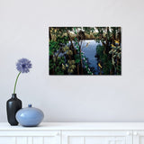 iCanvas "Kookaburra At The Lake" by Johanna Hildebrandt Canvas Print