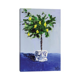 iCanvas "Lemon Tree" by Nataly Mak Canvas Print