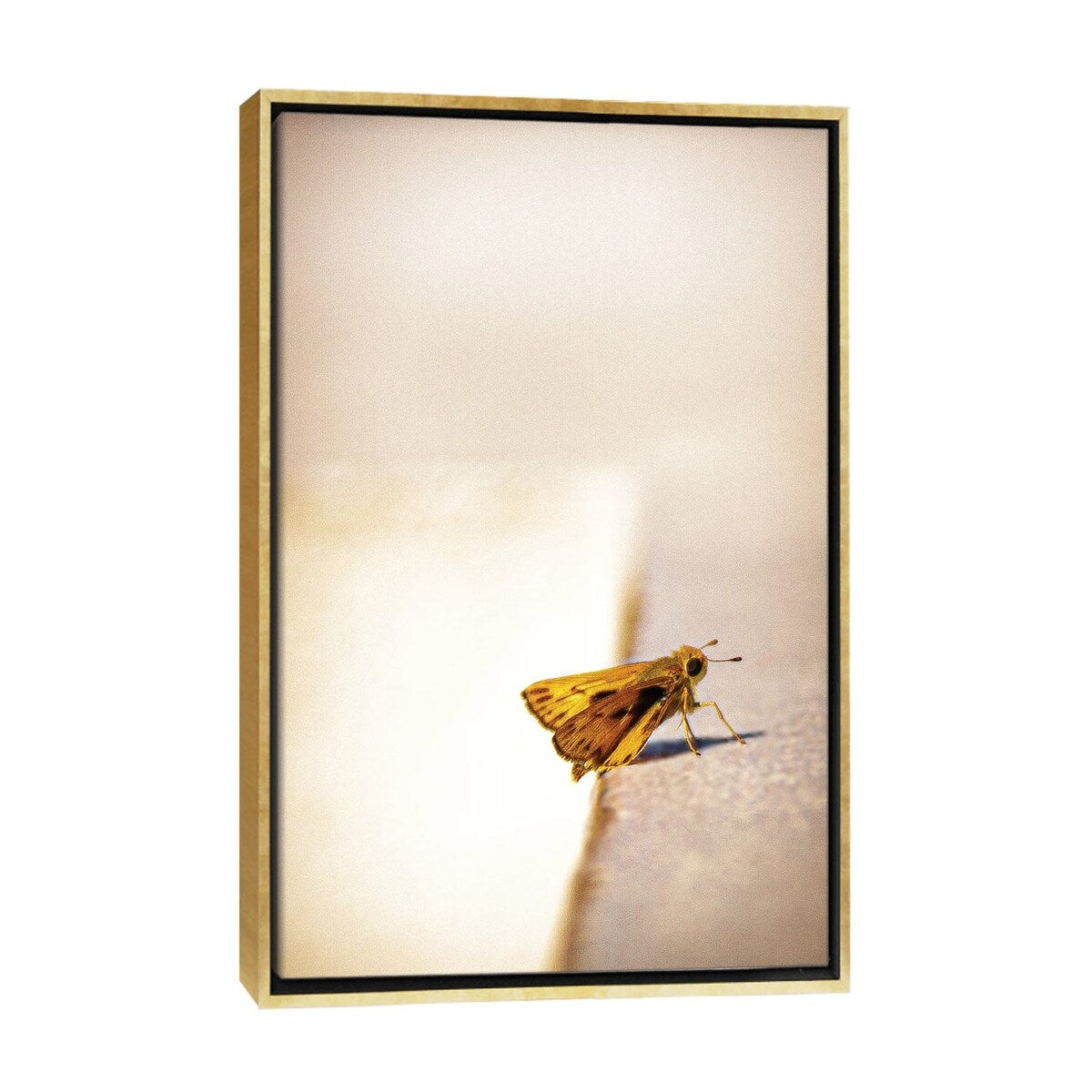 iCanvas "Liftoff" by Sean Marier Framed
