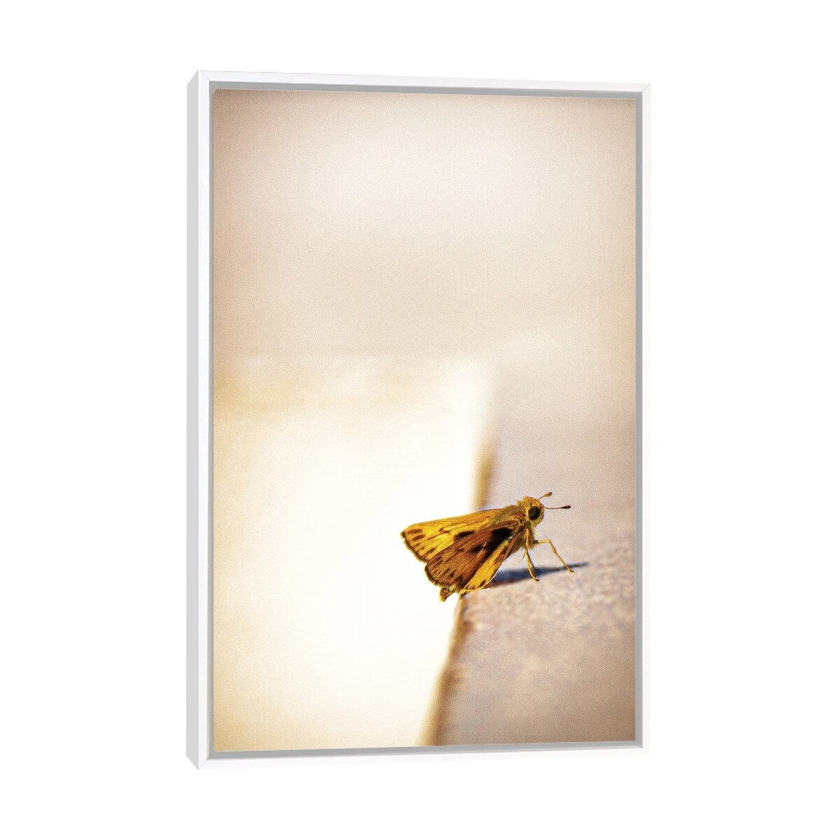 iCanvas "Liftoff" by Sean Marier Framed