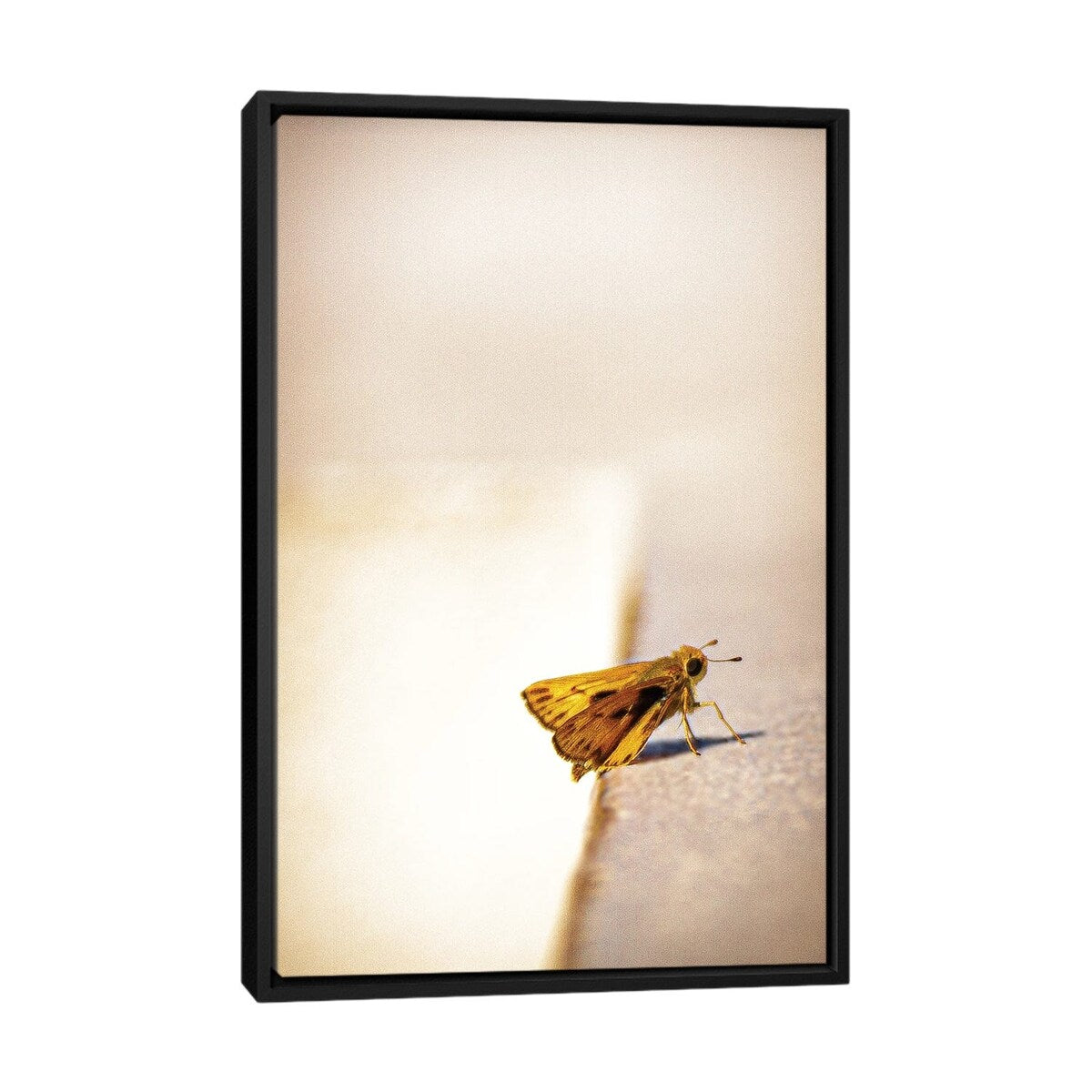 iCanvas "Liftoff" by Sean Marier Framed