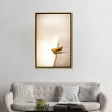 iCanvas "Liftoff" by Sean Marier Framed