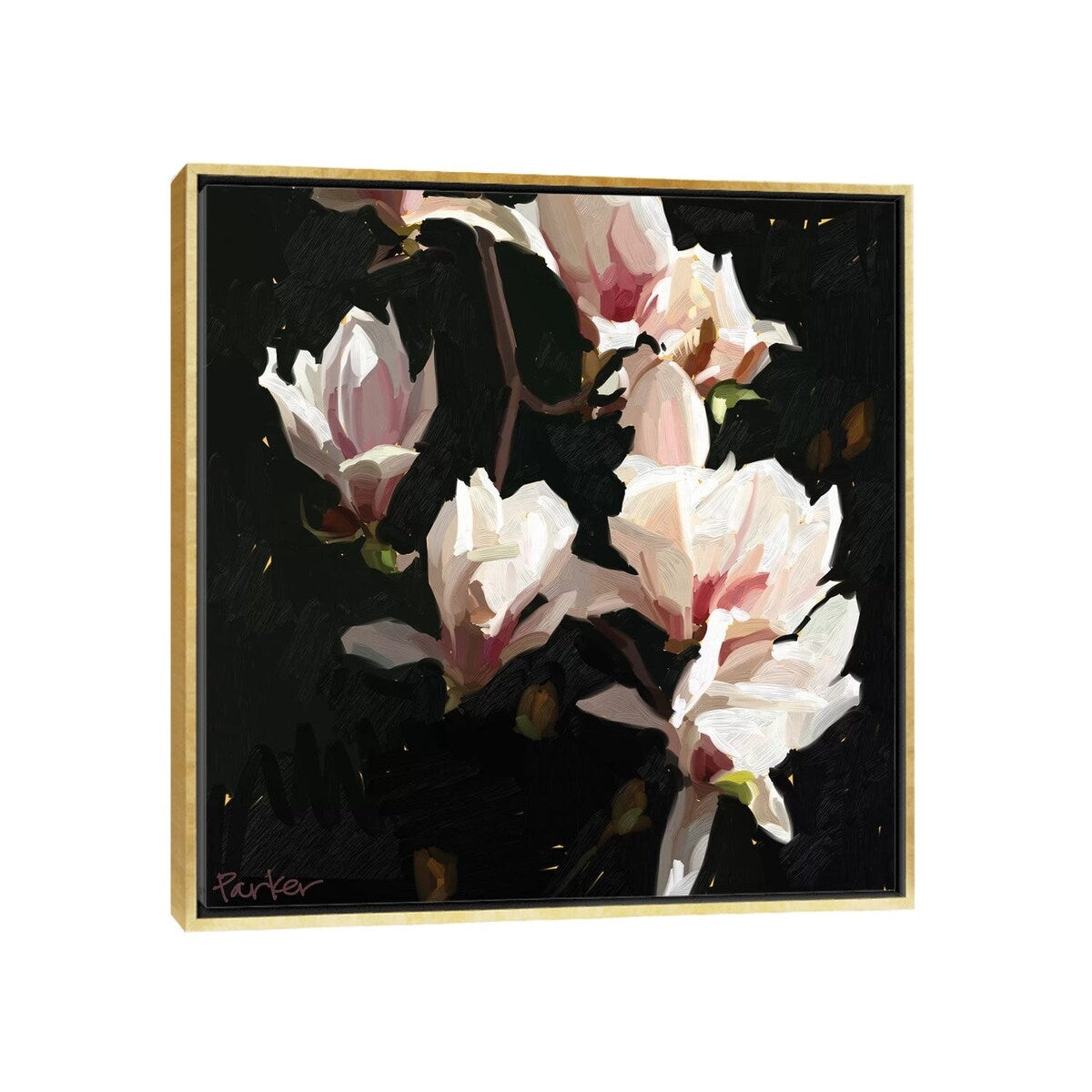 iCanvas "Magnolia Drama" by Teddi Parker Framed