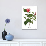iCanvas "Magnolia" by Sophie 6 Canvas Print
