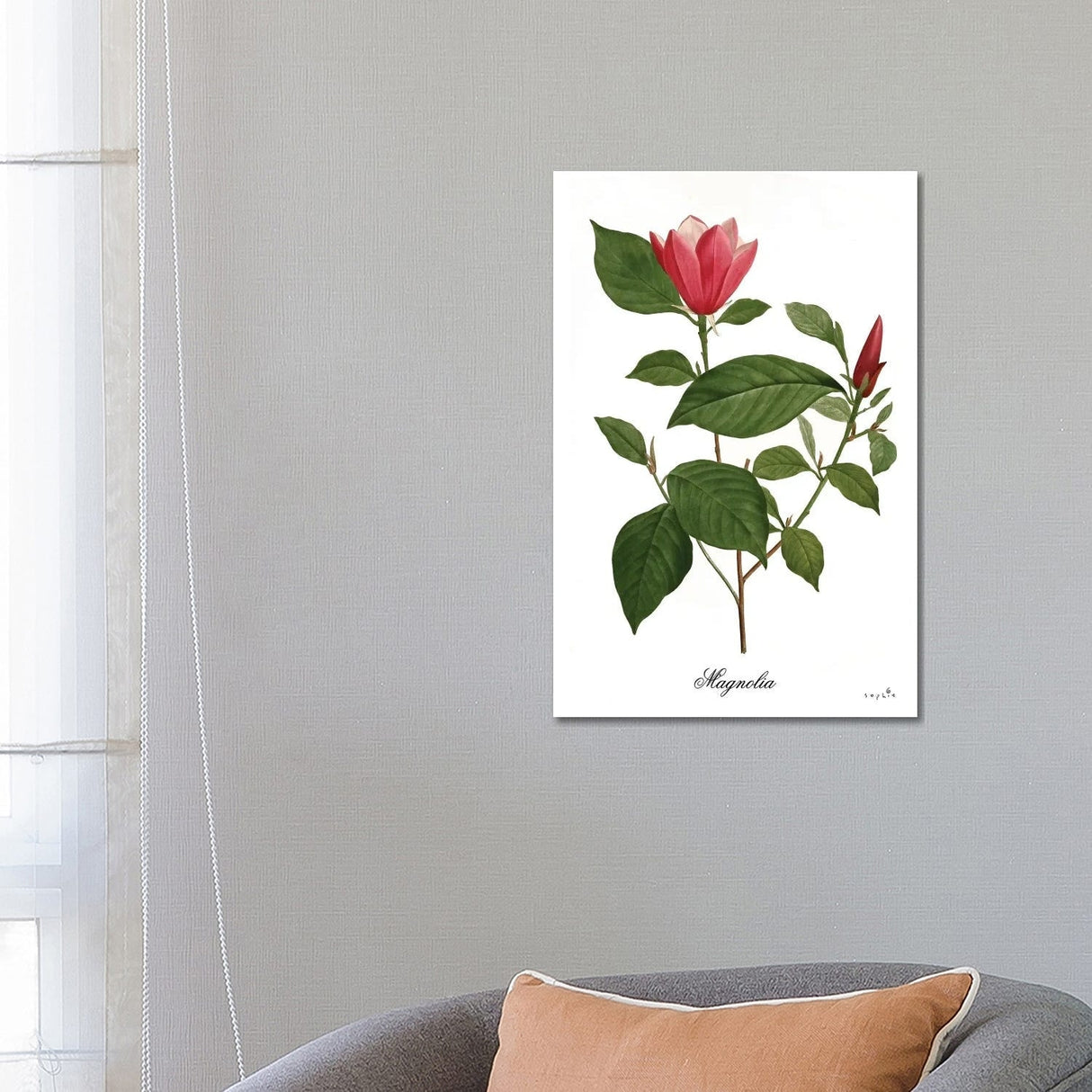 iCanvas "Magnolia" by Sophie 6 Canvas Print